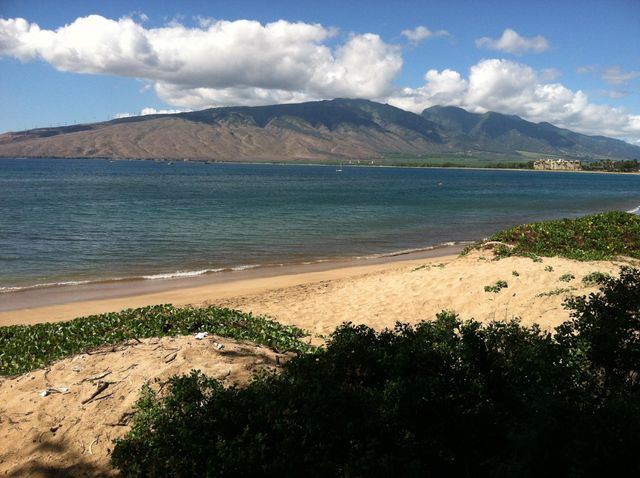 472 Kaiola Pl, Kihei, HI 96753