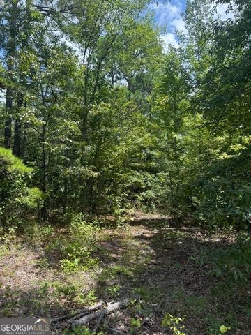 5845 Mount Pleasant Church Road, Macon, GA 31216