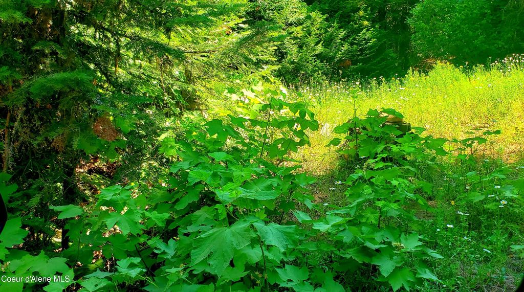 80 E Ridge DR (Tract 8), St. Maries, ID 83861 photo 11