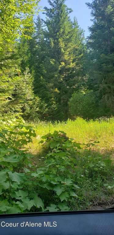 80 E Ridge DR (Tract 8), St. Maries, ID 83861 photo 13