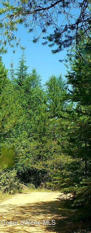 80 E Ridge DR (Tract 8), St. Maries, ID 83861 photo 14