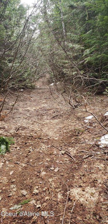 80 E Ridge DR (Tract 8), St. Maries, ID 83861 photo 15