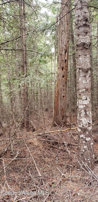 80 E Ridge DR (Tract 8), St. Maries, ID 83861 photo 16