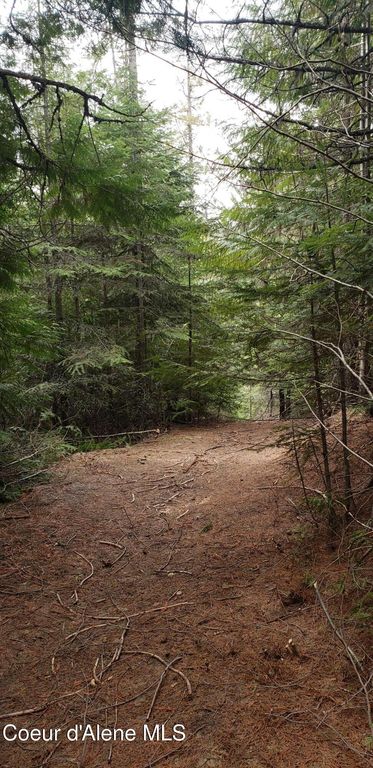 80 E Ridge DR (Tract 8), St. Maries, ID 83861 photo 18