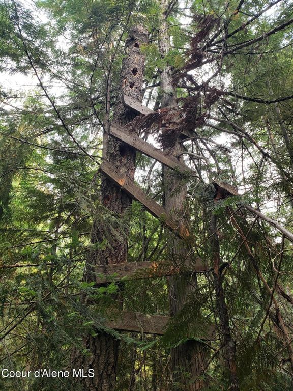 80 E Ridge DR (Tract 8), St. Maries, ID 83861 photo 2