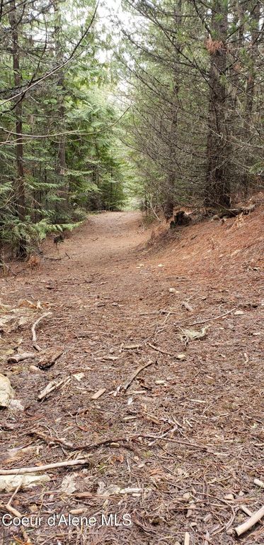 80 E Ridge DR (Tract 8), St. Maries, ID 83861 photo 20