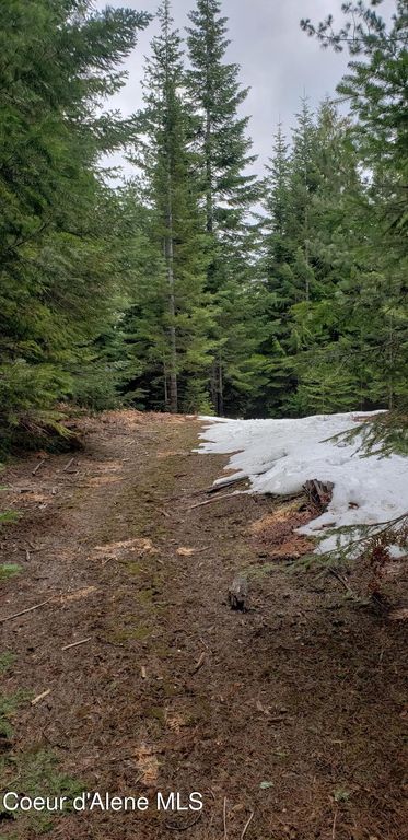 80 E Ridge DR (Tract 8), St. Maries, ID 83861 photo 23