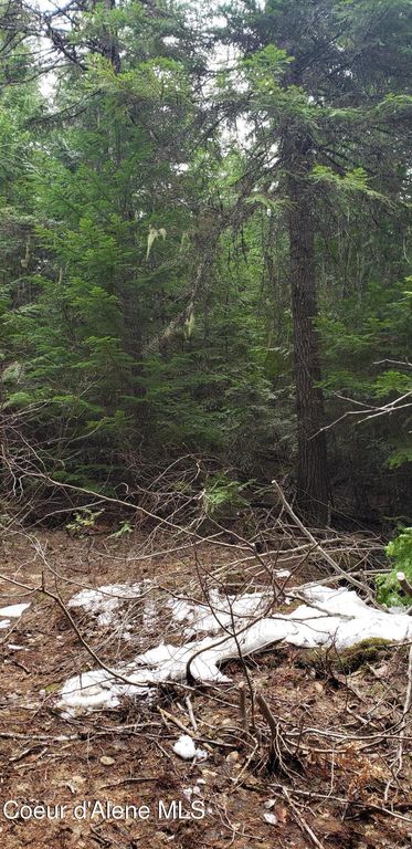 80 E Ridge DR (Tract 8), St. Maries, ID 83861 photo 24