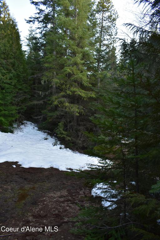 80 E Ridge DR (Tract 8), St. Maries, ID 83861 photo 32