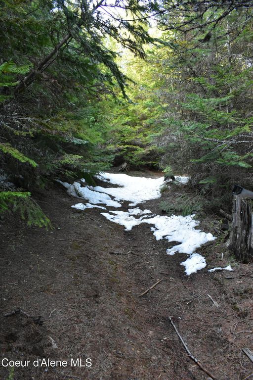 80 E Ridge DR (Tract 8), St. Maries, ID 83861 photo 33