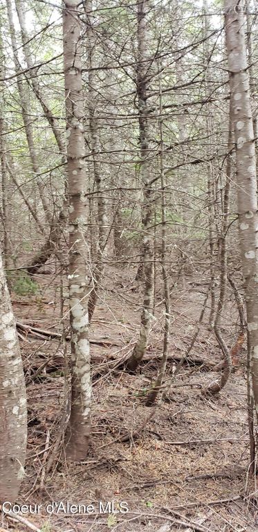 80 E Ridge DR (Tract 8), St. Maries, ID 83861 photo 34