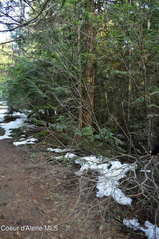 80 E Ridge DR (Tract 8), St. Maries, ID 83861 photo 39