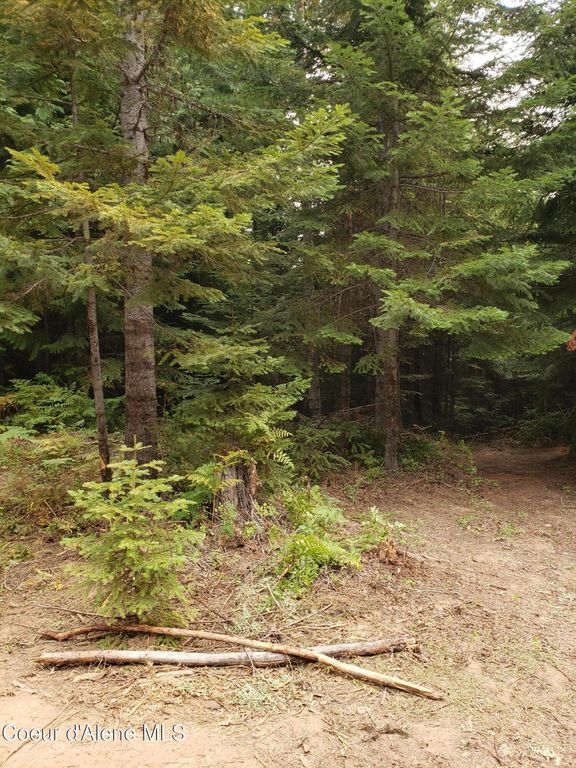 80 E Ridge DR (Tract 8), St. Maries, ID 83861 photo 4