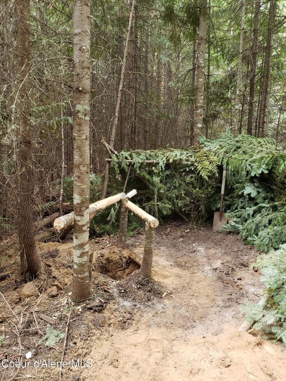 80 E Ridge DR (Tract 8), St. Maries, ID 83861 photo 7