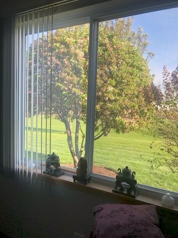 21314 W Crimson Court, Plainfield, IL 60544