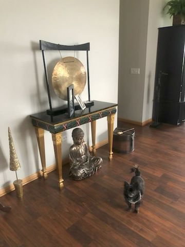 21314 W Crimson Court, Plainfield, IL 60544