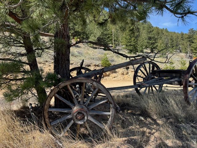1241 Giant Track Rd, Estes Park, CO 80517