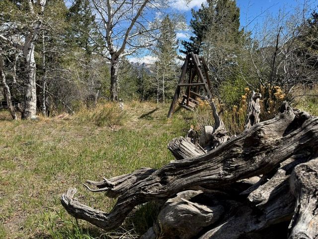 1241 Giant Track Rd, Estes Park, CO 80517