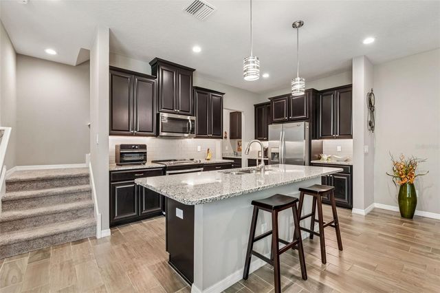 18907 CORNUTA STREET, Lutz, FL 33558