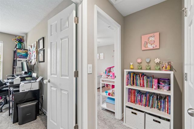 18907 CORNUTA STREET, Lutz, FL 33558