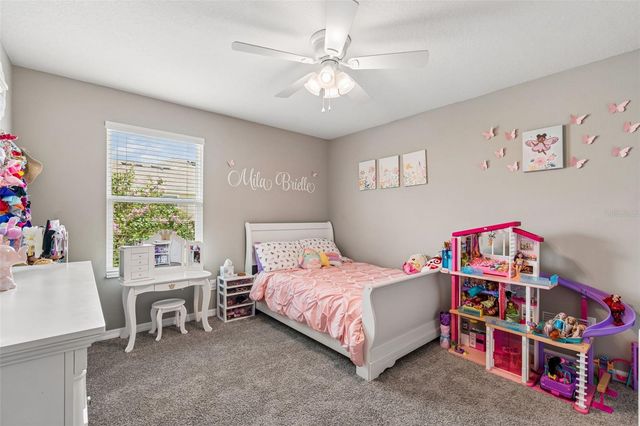 18907 CORNUTA STREET, Lutz, FL 33558