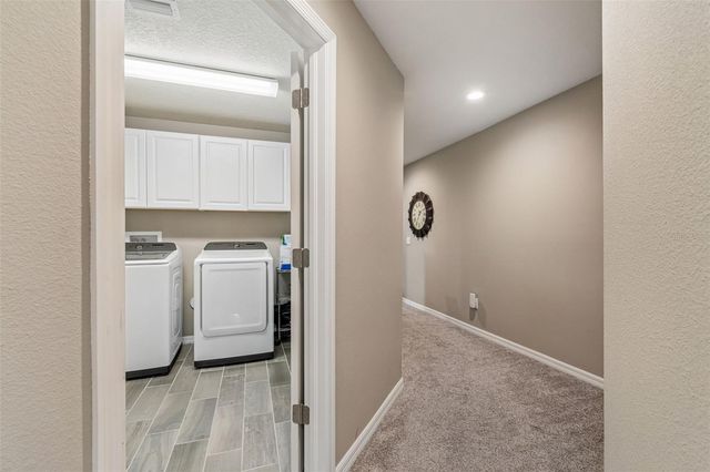 18907 CORNUTA STREET, Lutz, FL 33558