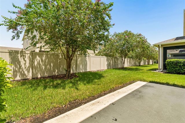 18907 CORNUTA STREET, Lutz, FL 33558
