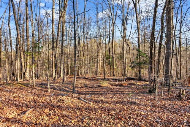 2862 Benton Ridge Rd, Palmyra, TN 37142