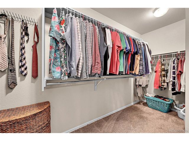 514 Coyote Willow Dr, Colorado Springs, CO 80921