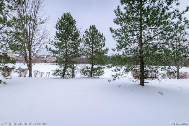 4411 Southbridge Dr Drive, Canton, MI 48188