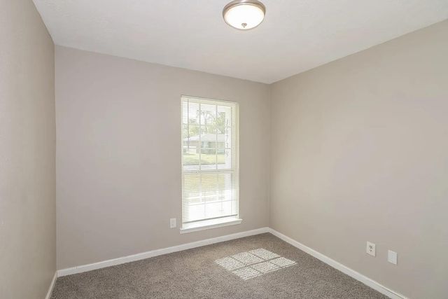 16739 Forest Bend Avenue, Friendswood, TX 77546