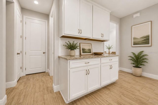 11728 CAMBIUM CROWN DRIVE, Riverview, FL 33569