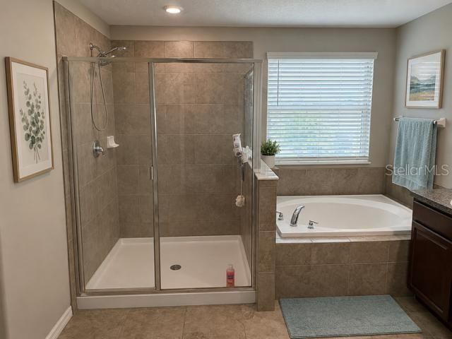 8913 FLOURISH DRIVE, Land O Lakes, FL 34637
