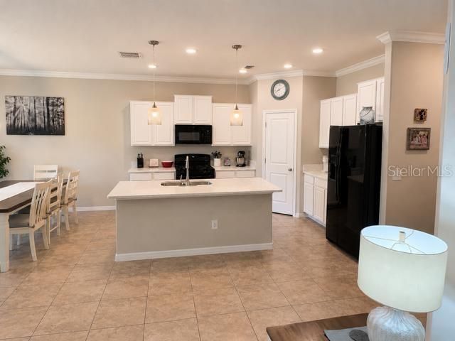 8913 FLOURISH DRIVE, Land O Lakes, FL 34637