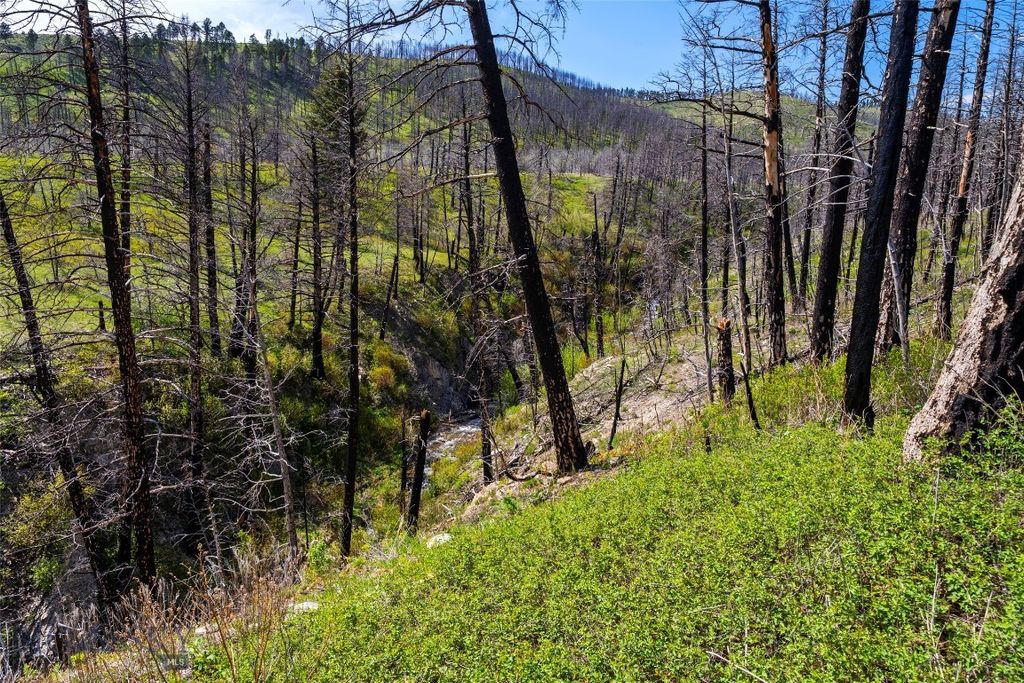 2010 US- 12 Highway E, Townsend, MT 59644 photo 4