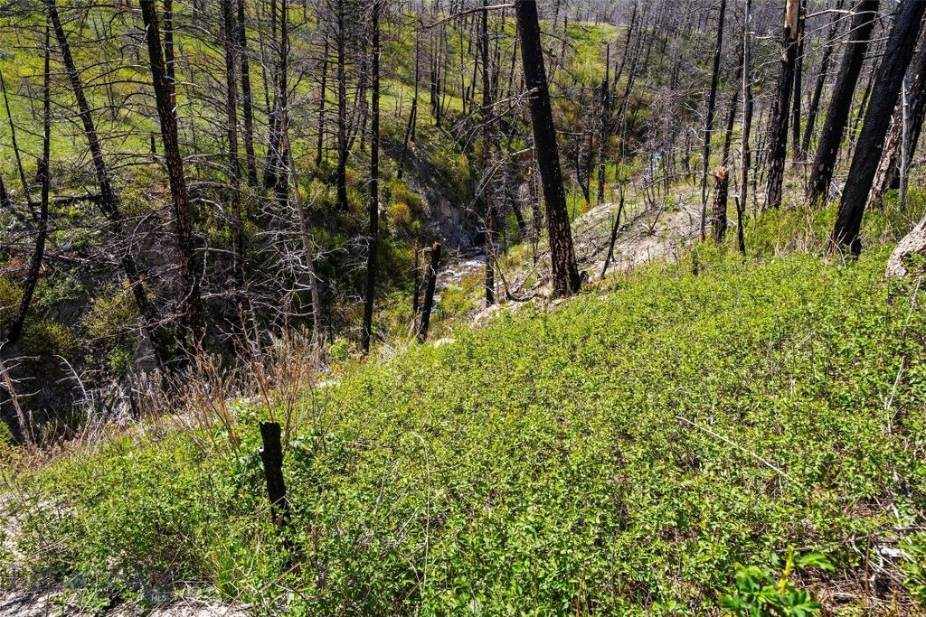 2010 US- 12 Highway E, Townsend, MT 59644 photo 5