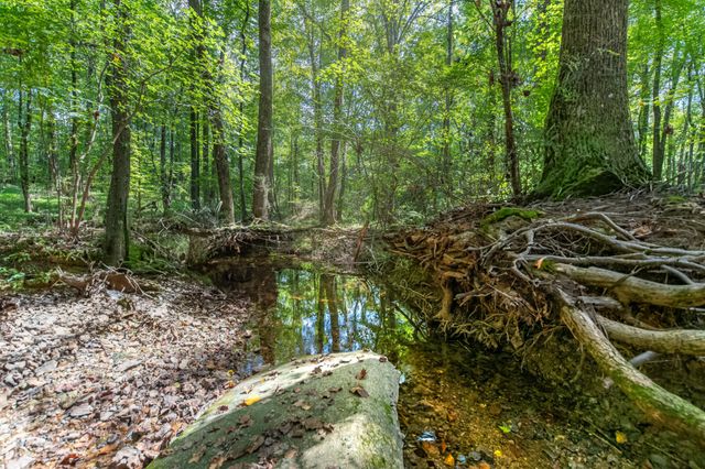 812 Good Hope Rd, Leoma, TN 38468