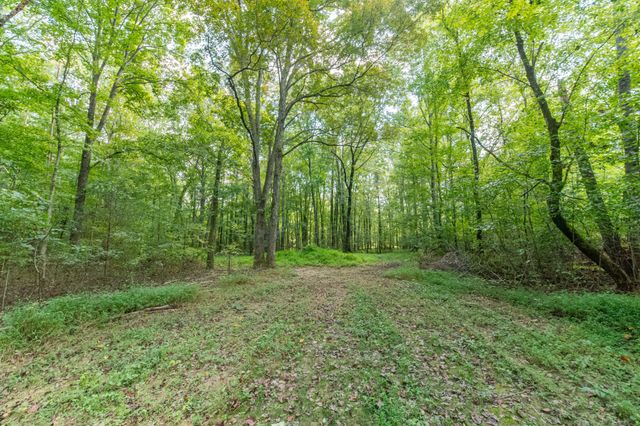 812 Good Hope Rd, Leoma, TN 38468