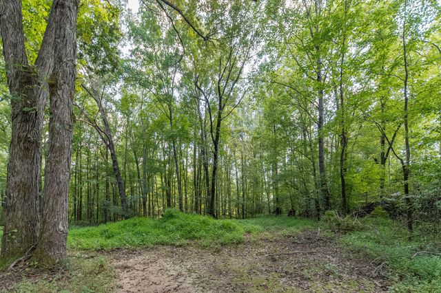 812 Good Hope Rd, Leoma, TN 38468