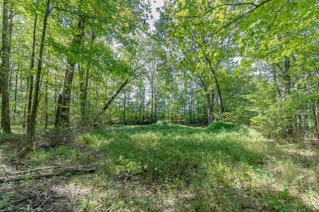 812 Good Hope Rd, Leoma, TN 38468