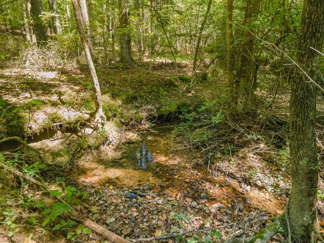 812 Good Hope Rd, Leoma, TN 38468