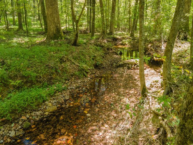 812 Good Hope Rd, Leoma, TN 38468