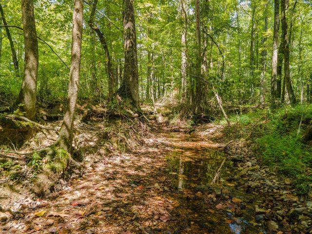 812 Good Hope Rd, Leoma, TN 38468