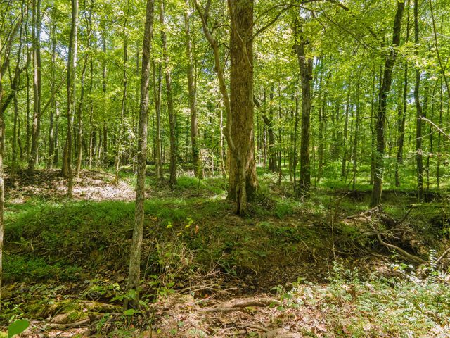 812 Good Hope Rd, Leoma, TN 38468