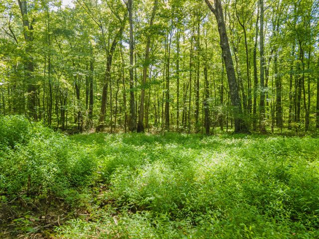 812 Good Hope Rd, Leoma, TN 38468