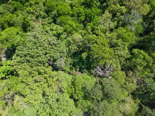 2151 E HWY 80, Mineola, TX 75773