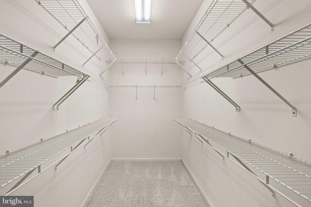 19 CALLOWAY DR, Fredericksburg, VA 22406