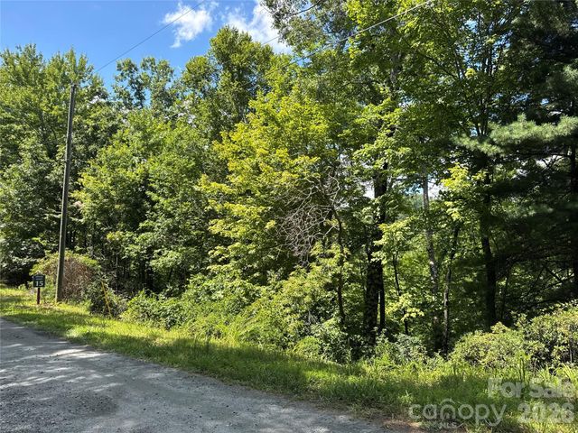 0 Quails Run Boulevard, Lake Lure, NC 28746