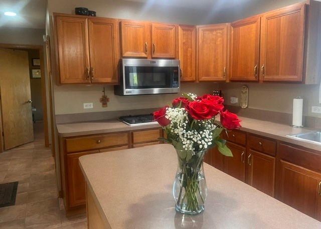 21203 Old North Church Road, Frankfort, IL 60423