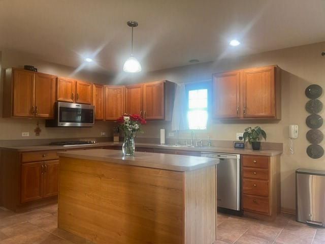 21203 Old North Church Road, Frankfort, IL 60423